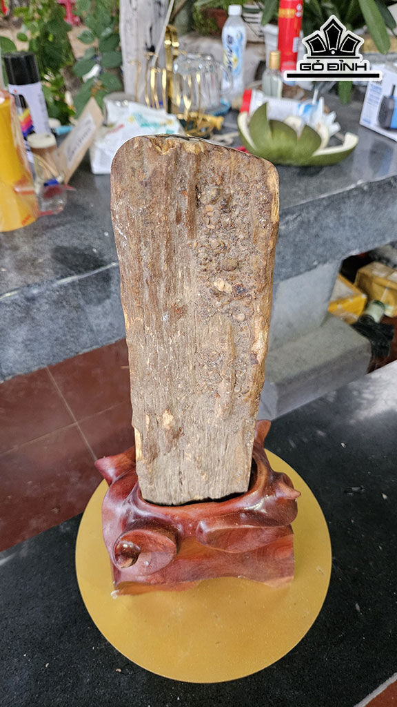 Tác Phẩm Gỗ Hóa Thạch Cao 45 Ngang 12 (cm) 6kg