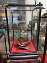 Bông Hoa Ưu Đàm Đá Trầm Tích Cao 26 (cm) 1,6kg
