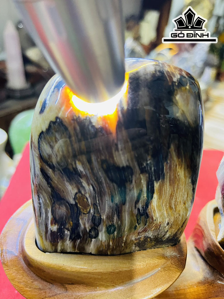Tác Phẩm Gỗ Hóa Thạch Cao 18 (cm) 1,6kg