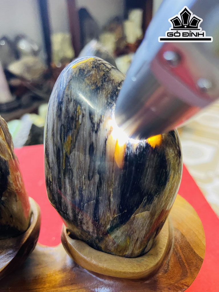 Tác Phẩm Gỗ Hóa Thạch Cao 18 (cm) 1,6kg