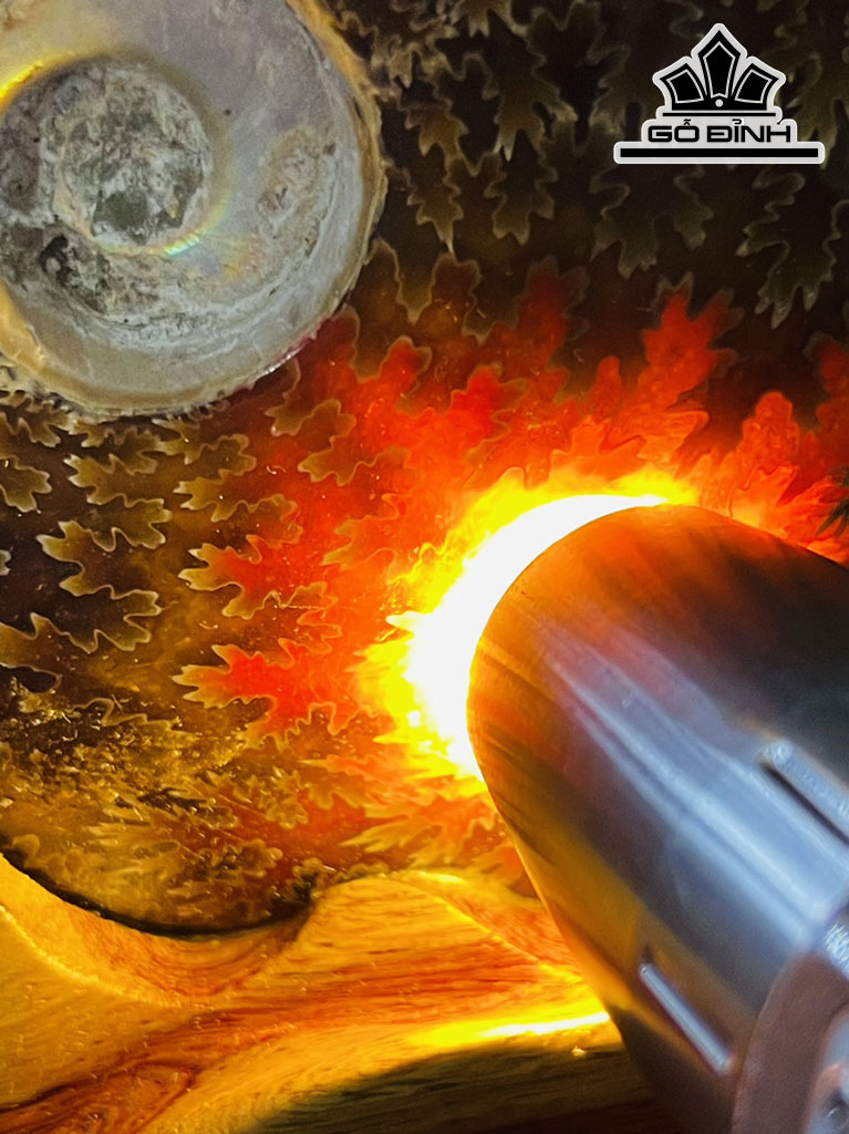 Tác Phẩm Ốc Anh Vũ Hóa Thạch Cao 18 (cm) 1,4 kg