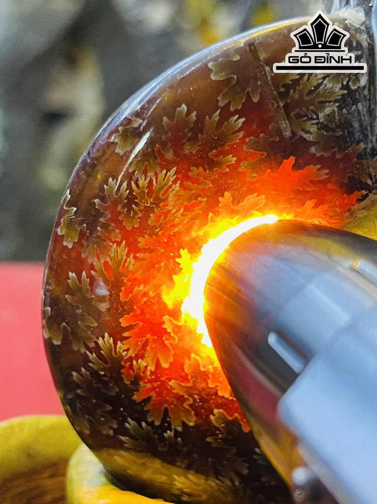 Tác Phẩm Ốc Anh Vũ Hóa Thạch Cao 18 (cm) 1,4 kg