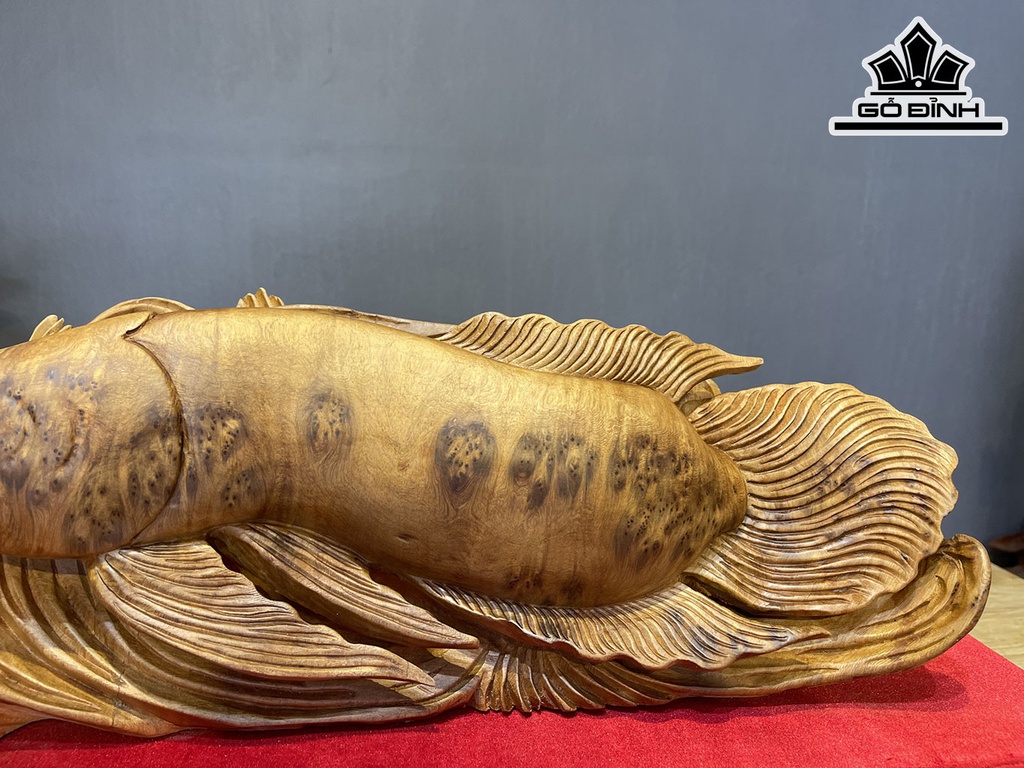 Tượng Cá Kim Long Gỗ Nu Ngọc Am Cao 18 Ngang 68 Sâu 15 (cm)