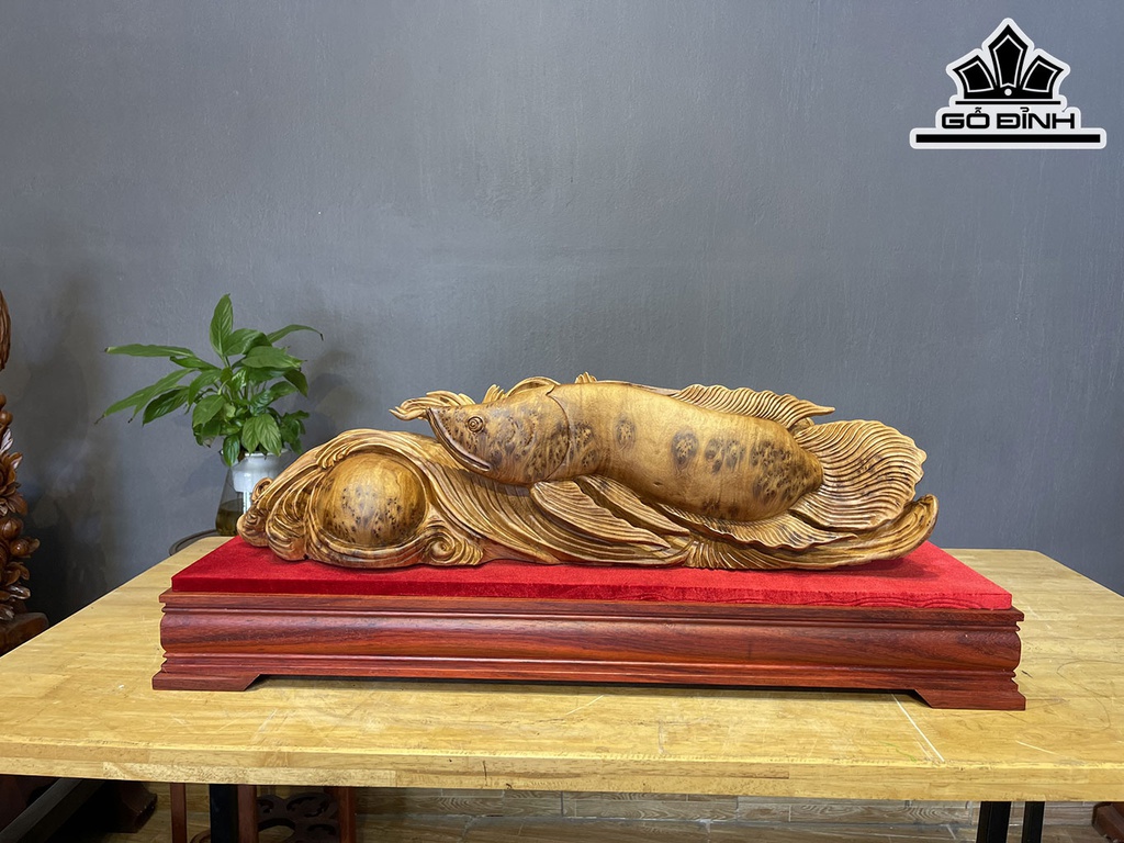 Tượng Cá Kim Long Gỗ Nu Ngọc Am Cao 18 Ngang 68 Sâu 15 (cm)