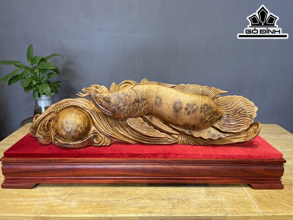 Tượng Cá Kim Long Gỗ Nu Ngọc Am Cao 18 Ngang 68 Sâu 15 (cm)