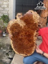 Khay Trà Gỗ Nu Ngọc Am Ngang 79 Cao 52 Sâu 4 (cm)