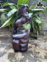 Tượng Ngựa Phong Thủy (Nhất Mã Phi Thiên) Gỗ Trắc Cao 45 Ngang 20 Sâu 12 (cm)