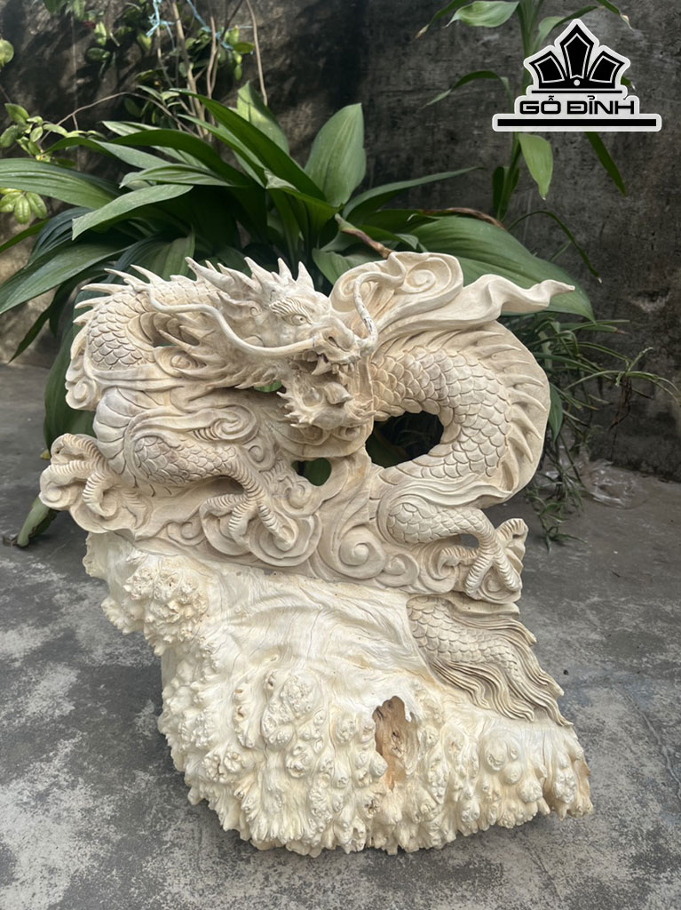 Tượng Rồng Phong Thủy Gỗ Nu Nghiến Cao 48 Ngang 42 Sâu 20 (cm)