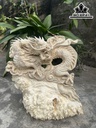 Tượng Rồng Phong Thủy Gỗ Nu Nghiến Cao 48 Ngang 42 Sâu 20 (cm)