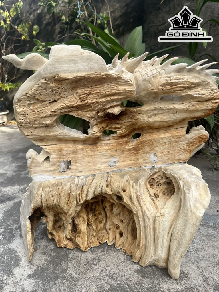 Tượng Rồng Phong Thủy Gỗ Nu Nghiến Cao 48 Ngang 42 Sâu 20 (cm)