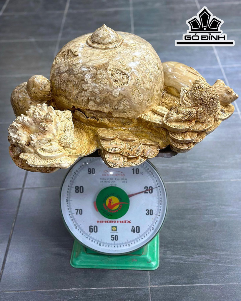 Tượng Tam Cóc Ngậm Tiền Gỗ Nu Nghiến Cao 24 Ngang 54 Sâu 46 (cm)