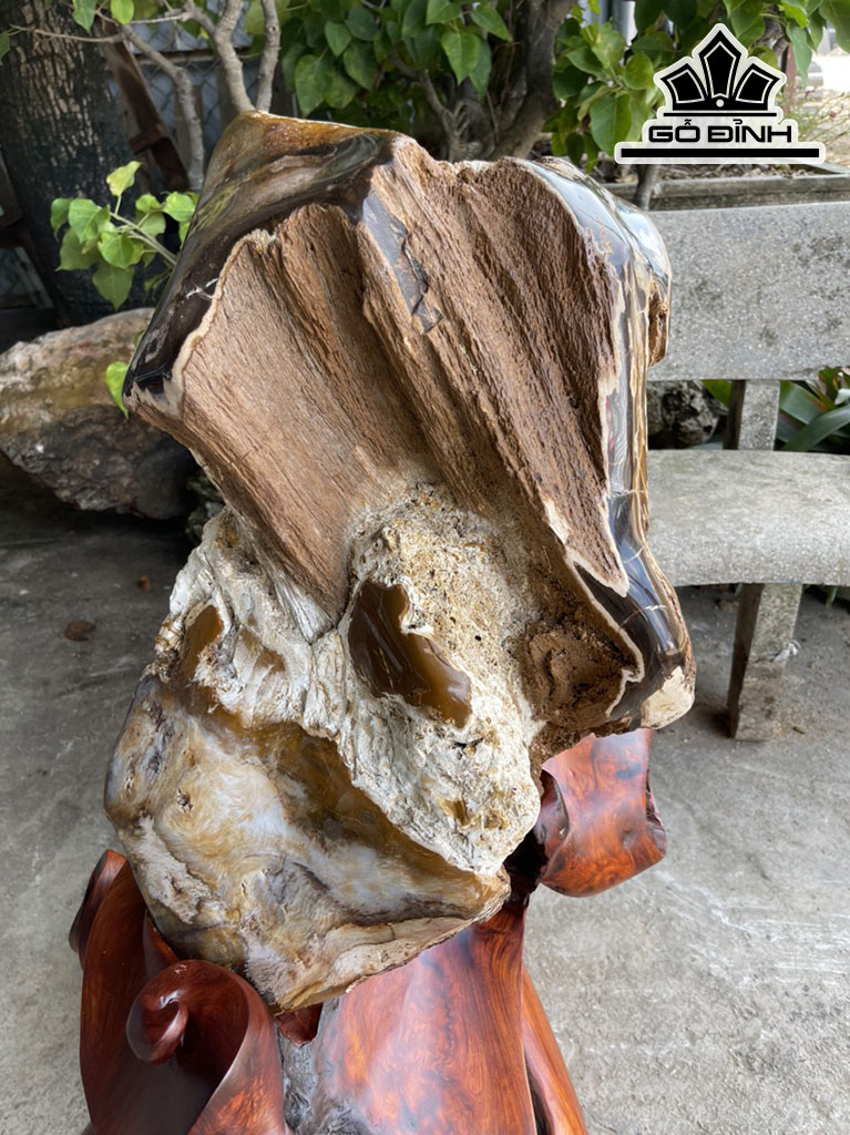 Tác Phẩm Gỗ Hóa Ngọc Cao 100 (cm) Riêng Đá 47x40 (cm) 57kg