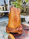 Tác Phẩm Gỗ Hóa Thạch Cao 59 (cm) 32kg