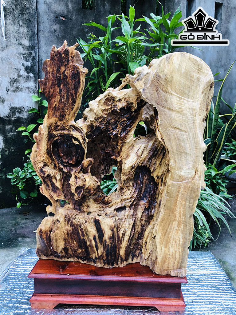 Tượng Rồng ( Nhất Long) Vờn Ngọc Gỗ Nu Nghiến Cao 55 Ngang 48 Sâu 20 (cm)