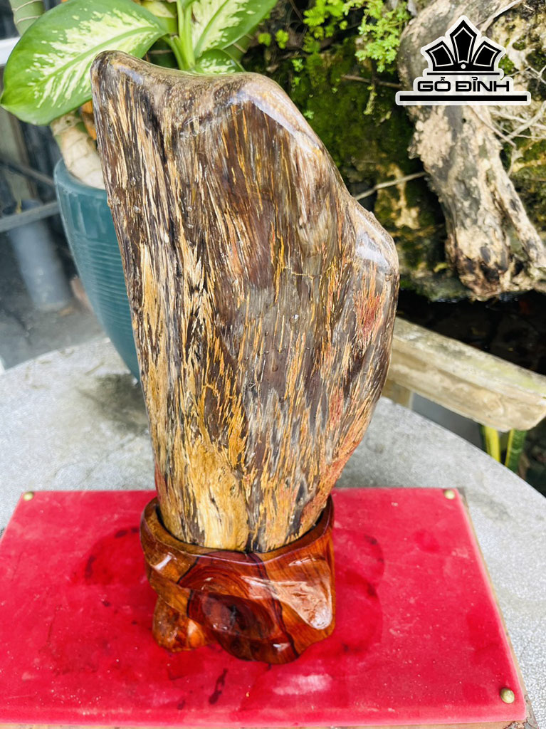 Tác Phẩm Gỗ Hóa Thạch Cao 44 (cm) 6kg