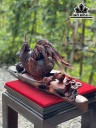 Tượng Gia Đình Gà Gỗ Trắc Cao 30 Ngang 68 Sâu 20 (cm)