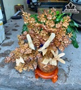 Bình Hoa Gỗ Hương Cao 65 Ngang 55 Sâu 22 (cm)