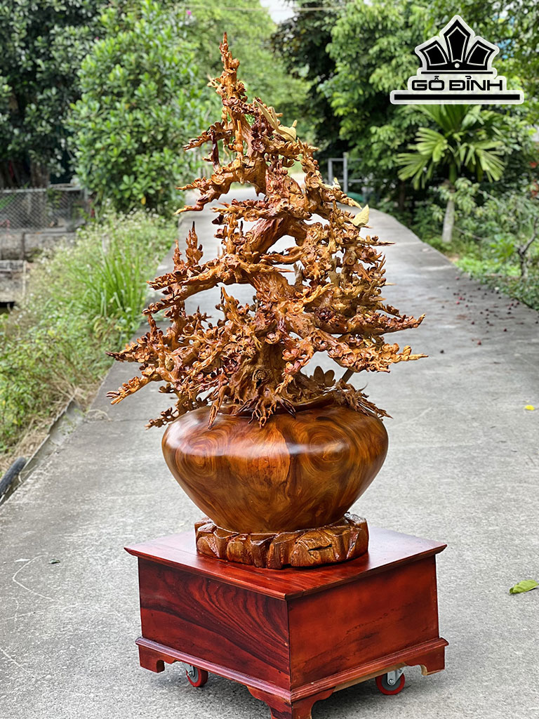 Bình Mai Phú Quý Gỗ Hương Cao 172 Ngang 112 Sâu 79 (cm)
