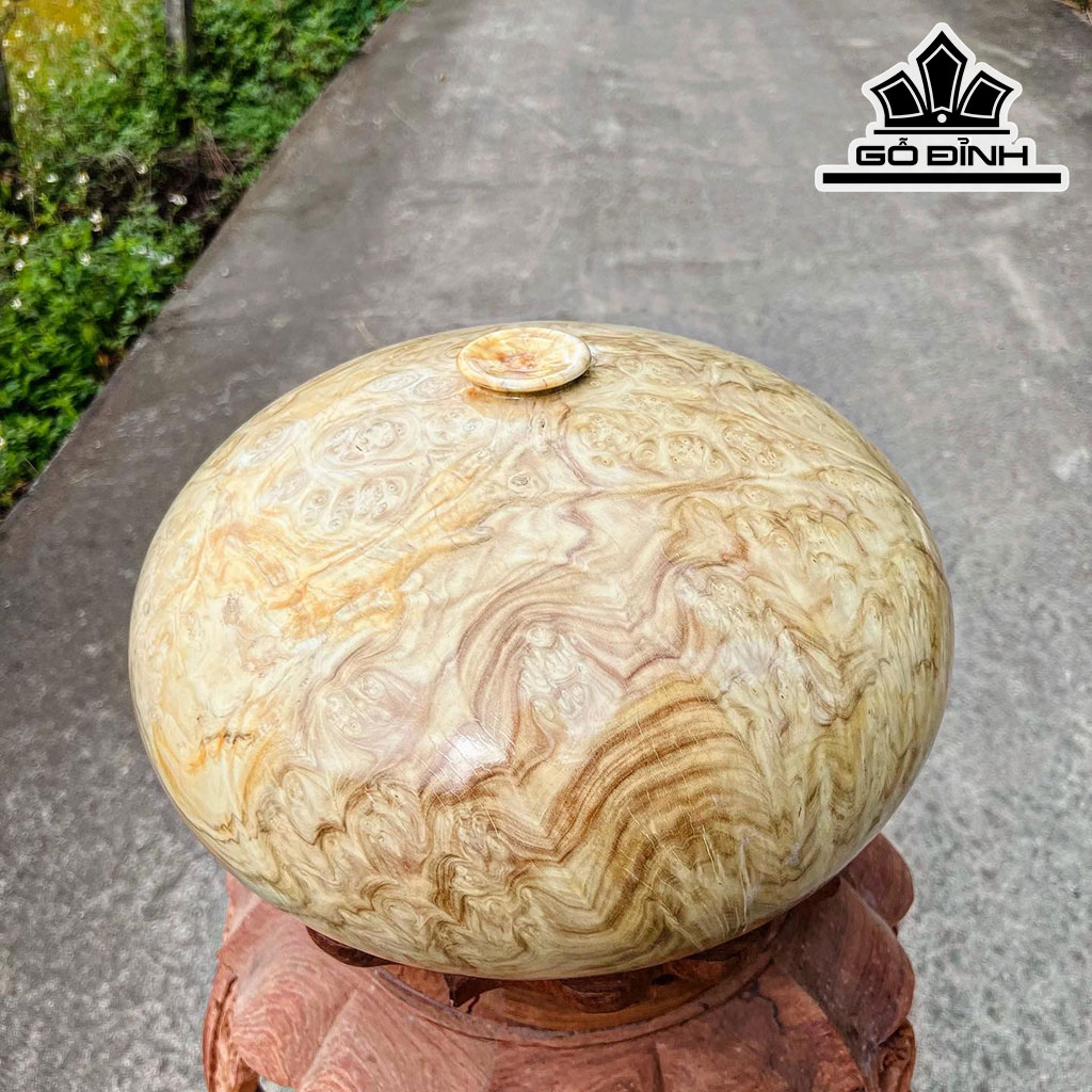 Chum Phú Quý Gỗ Nu Ngọc Nghiến Cao 20 Đường Kính 35 (cm)