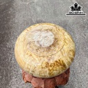 Chum Phú Quý Gỗ Nu Ngọc Nghiến Cao 20 Đường Kính 35 (cm)