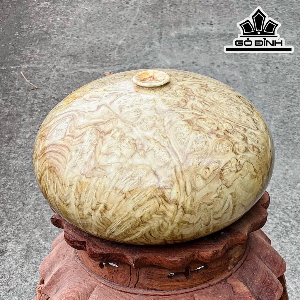 Chum Phú Quý Gỗ Nu Ngọc Nghiến Cao 20 Đường Kính 35 (cm)