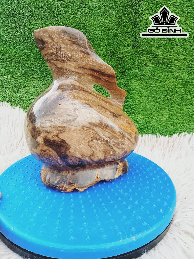Tác Phẩm Gỗ Hóa Thạch Cao 20 Ngang 16 (cm) 3,5kg