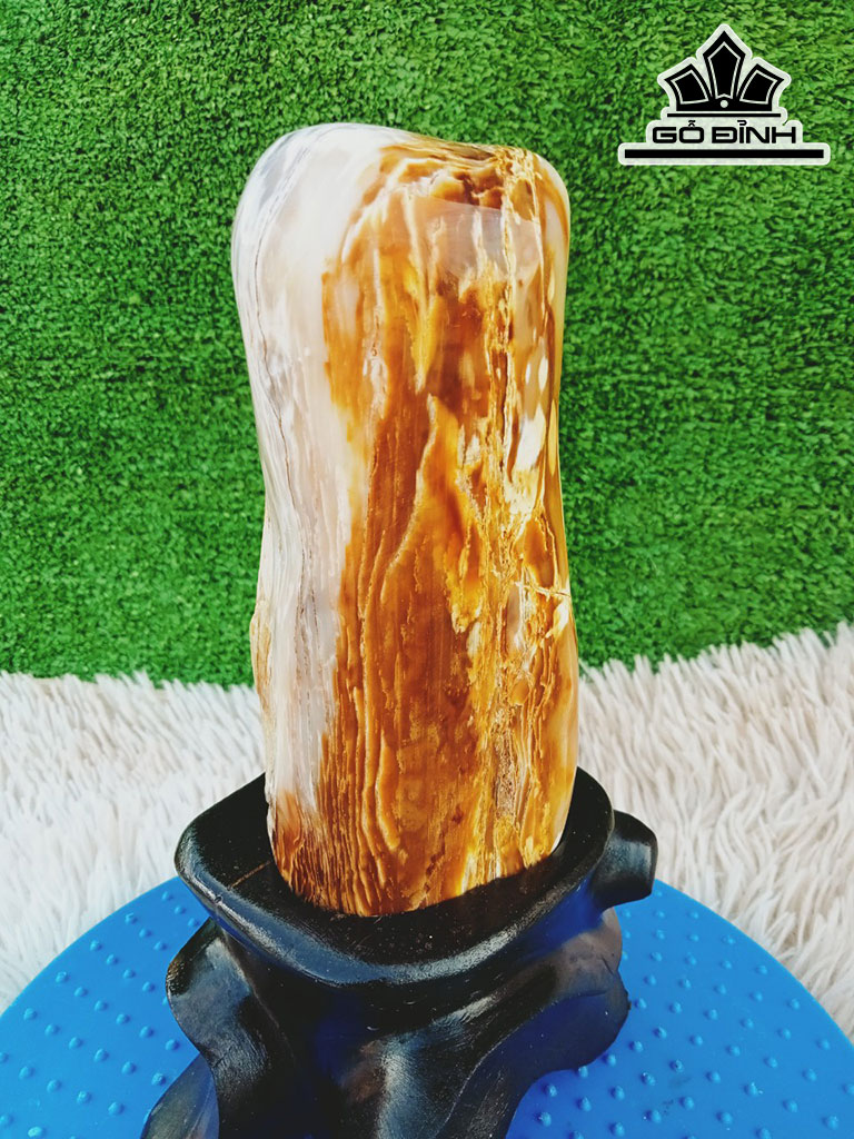 Tác Phẩm Gỗ Hóa Thạch Cao 22 Ngang 9 (cm) 1,8kg