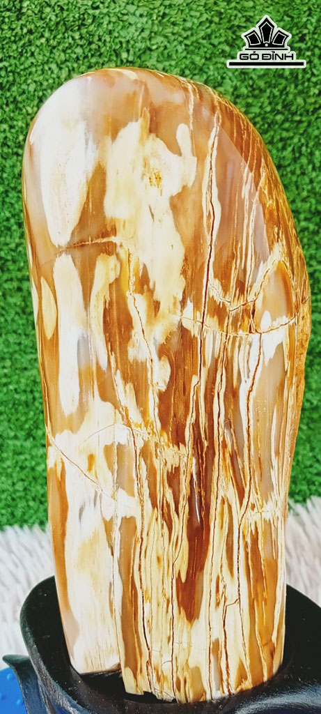 Tác Phẩm Gỗ Hóa Thạch Cao 22 Ngang 9 (cm) 1,8kg