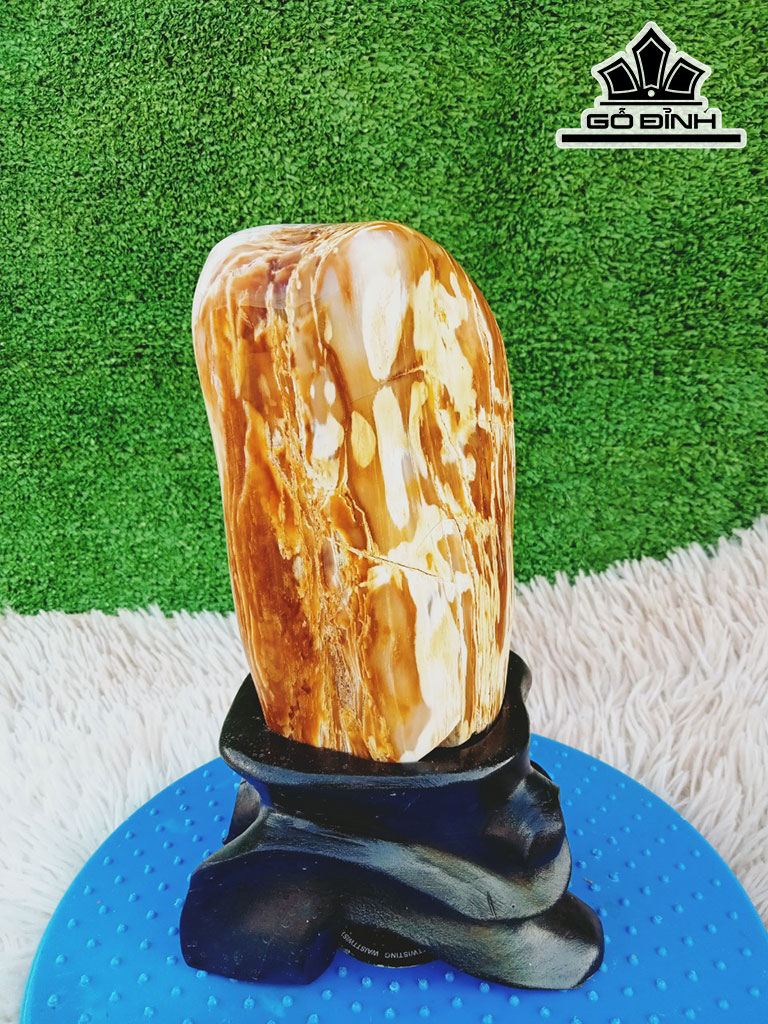 Tác Phẩm Gỗ Hóa Thạch Cao 22 Ngang 9 (cm) 1,8kg