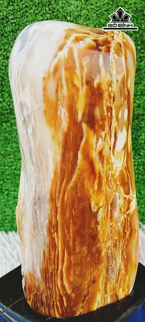 Tác Phẩm Gỗ Hóa Thạch Cao 22 Ngang 9 (cm) 1,8kg