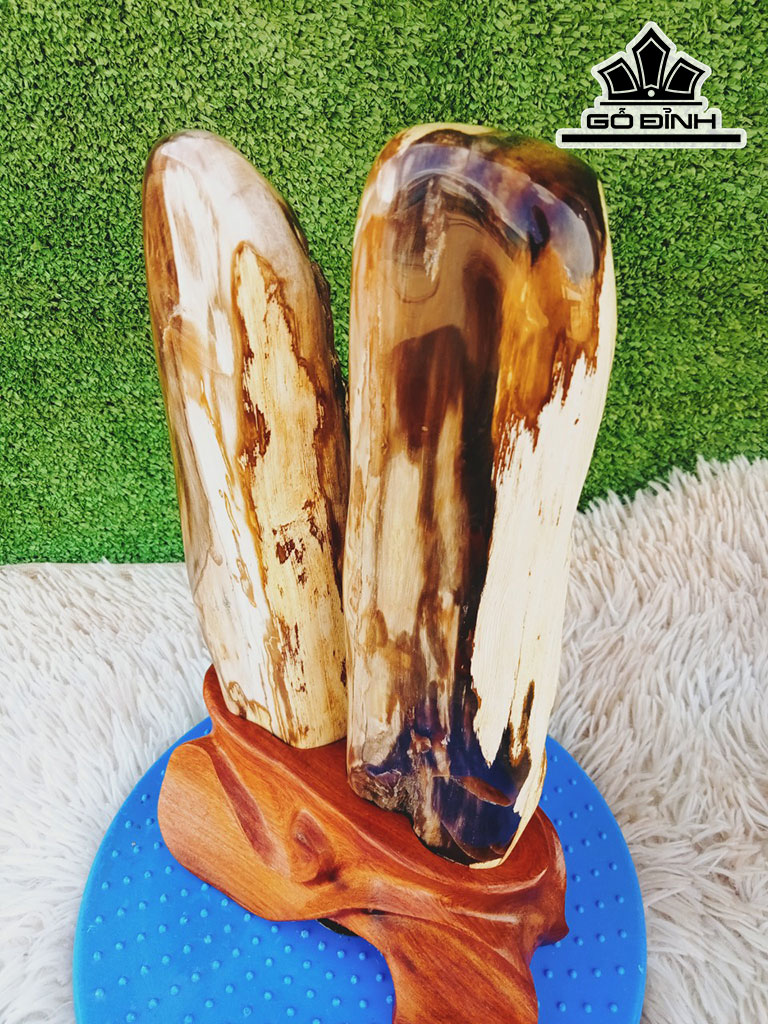 Tác Phẩm Gỗ Hóa Thạch Cao 31 Ngang 14 (cm) 3,4kg