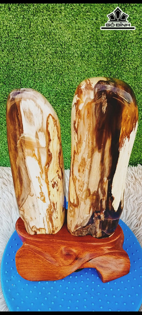 Tác Phẩm Gỗ Hóa Thạch Cao 31 Ngang 14 (cm) 3,4kg