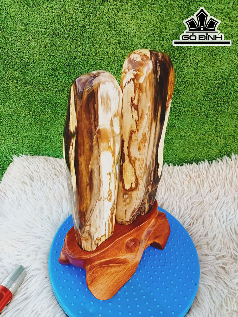 Tác Phẩm Gỗ Hóa Thạch Cao 31 Ngang 14 (cm) 3,4kg