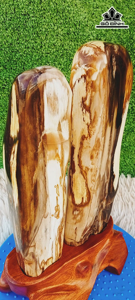 Tác Phẩm Gỗ Hóa Thạch Cao 31 Ngang 14 (cm) 3,4kg