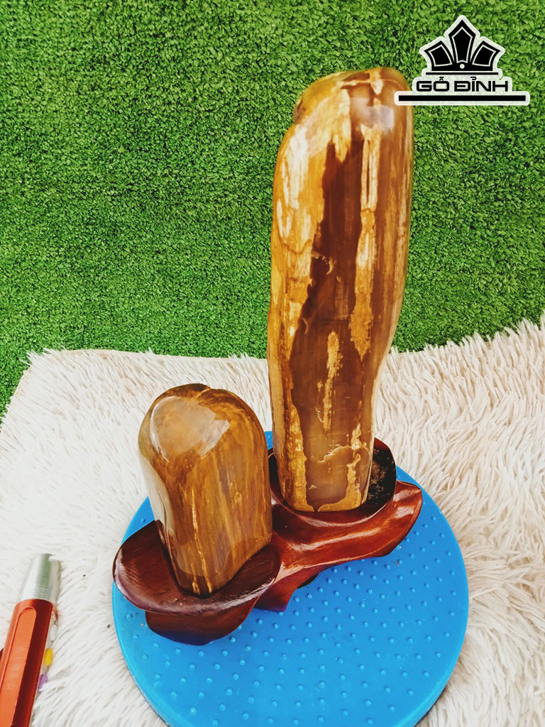 Tác Phẩm Gỗ Hóa Thạch Cao 31 Ngang 17 (cm) 3,6kg