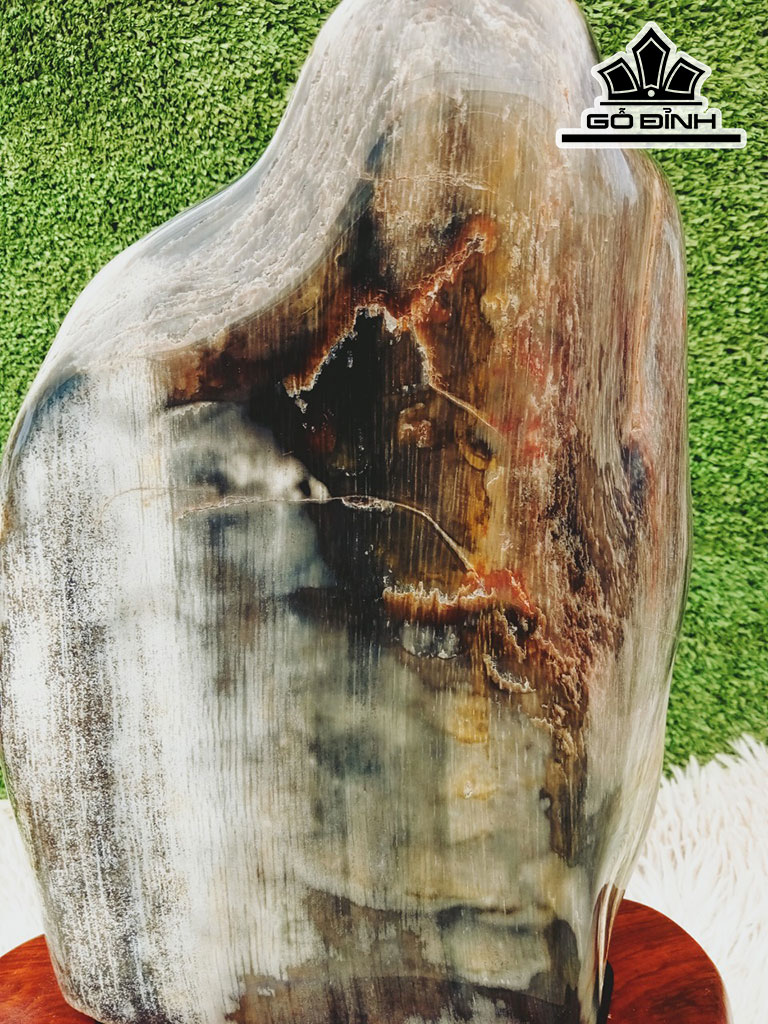 Tác Phẩm Gỗ Hóa Thạch Cao 35 Ngang 17 (cm) 4,8kg