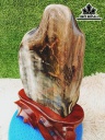 Tác Phẩm Gỗ Hóa Thạch Cao 35 Ngang 17 (cm) 4,8kg