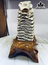 Tác Phẩm Gỗ Hóa Thạch Cao 25 Ngang 16 (cm) 3,3kg