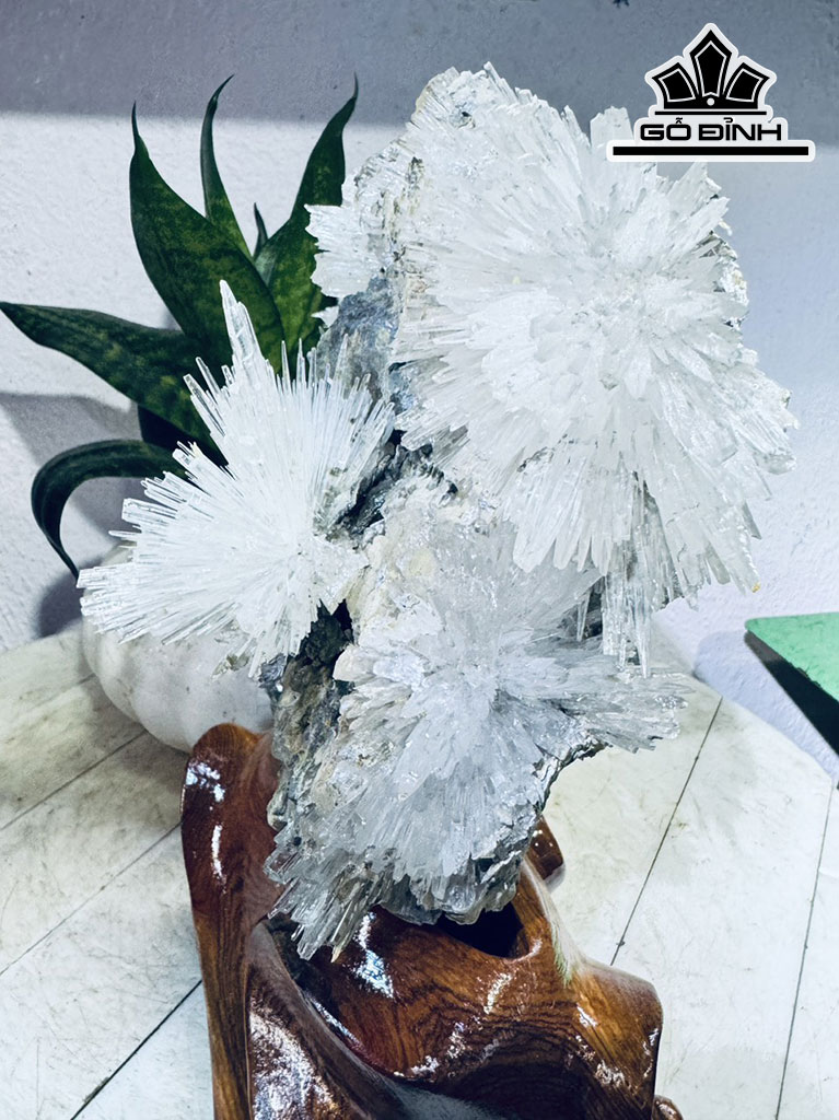 Bông Hoa Ưu Đàm Đá Trầm Tích Cao 24 Ngang 16 (cm) 2,2kg