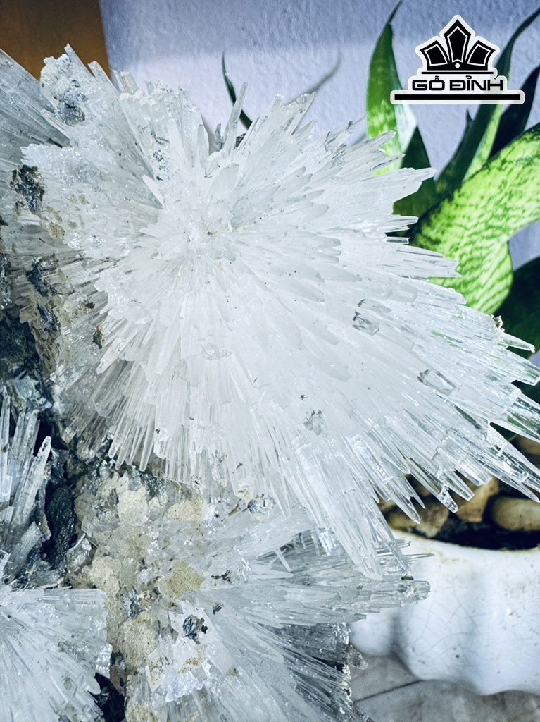 Bông Hoa Ưu Đàm Đá Trầm Tích Cao 24 Ngang 16 (cm) 2,2kg