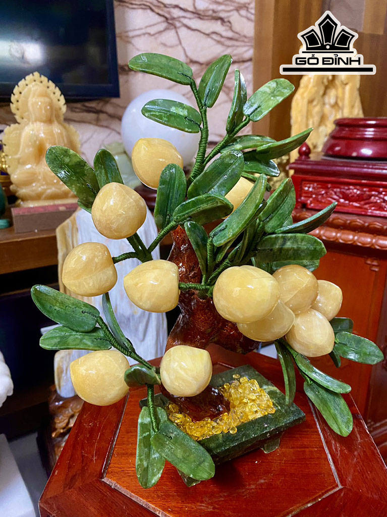 Cây Đào Đá Ngọc Hoàng Long Cao 33 (cm)