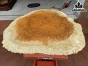 Khay Trà Gỗ Nu Ngọc Am Cao 120 Ngang 100 Sâu 4,6 (cm)
