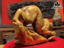 Tượng Báo Săn Mồi Gỗ Nu Ngọc Am Cao 30 Ngang 50 Sâu 20 (cm)