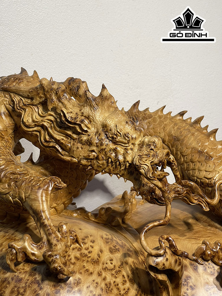 Tượng Rồng Phong Thủy Gỗ Nu Ngọc Am Cao 58 Ngang 60 Sâu 32 (cm)