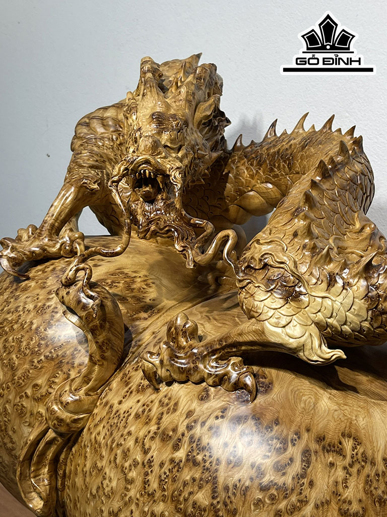 Tượng Rồng Phong Thủy Gỗ Nu Ngọc Am Cao 58 Ngang 60 Sâu 32 (cm)