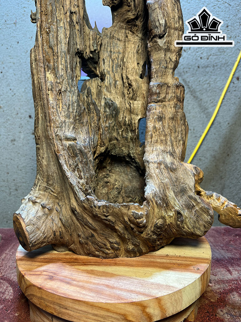 Tượng Rồng Phong Thủy Gỗ Nu Trắc Cao 40 Ngang 30 Sâu 21 (cm)