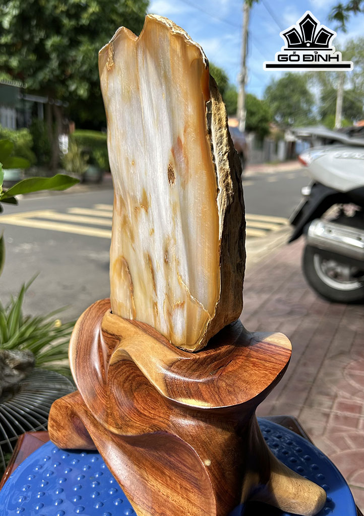 Tác Phẩm Gỗ Hóa Thạch Cao 30 (cm) 3,7kg