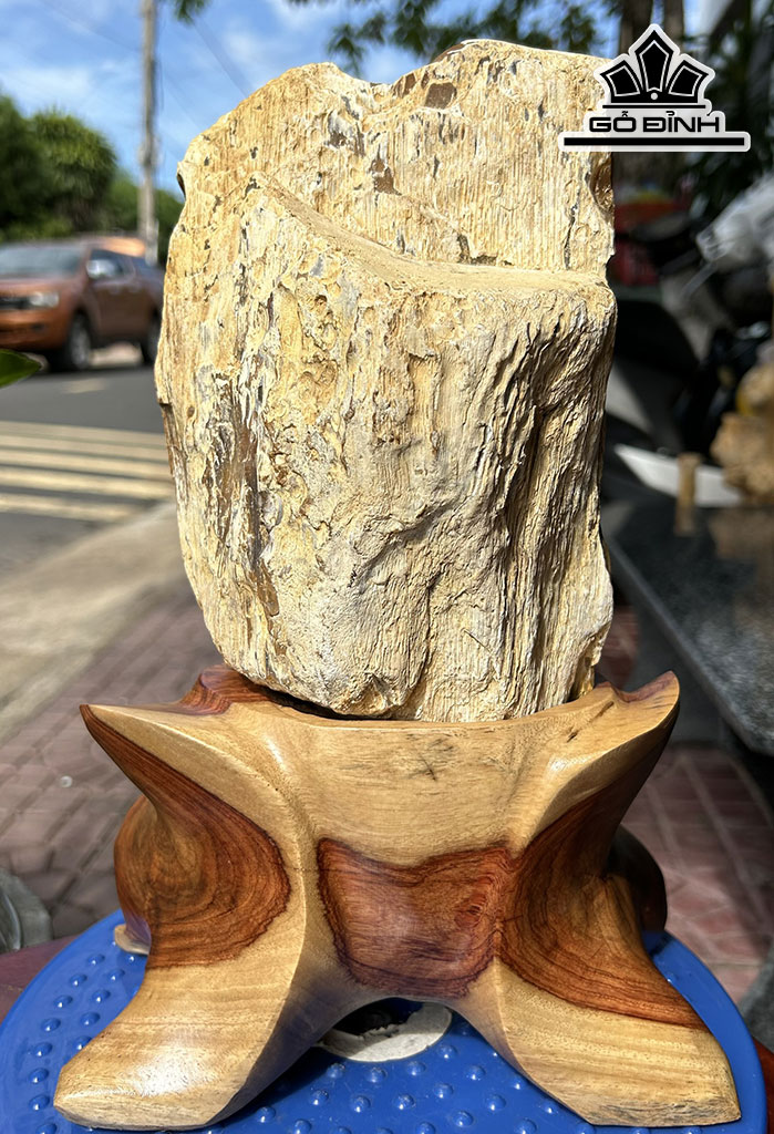 Tác Phẩm Gỗ Hóa Thạch Cao 30 (cm) 3,7kg
