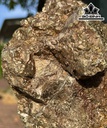 Vàng Găm Tinh Thể Đá Pyrite Cao 36 Ngang 20 (cm) 10,2kg