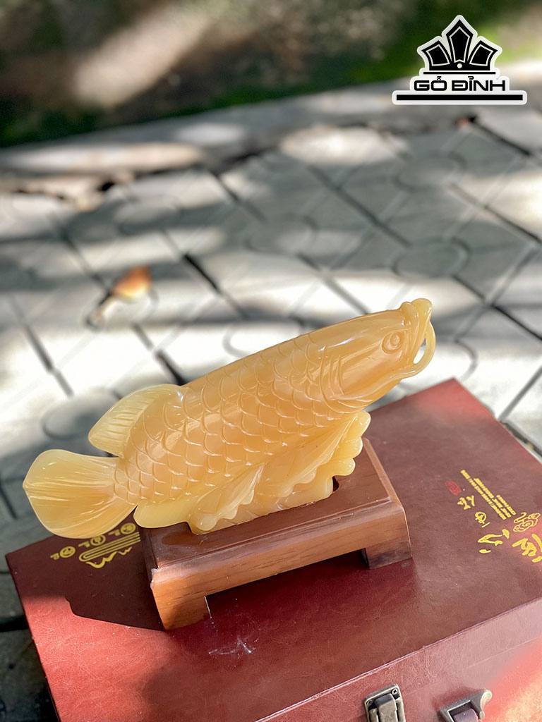 Cá Rồng Đá Ngọc Hoàng Long Cao 30 (cm)